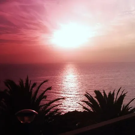 Marazul Del Sur * Costa Adeje